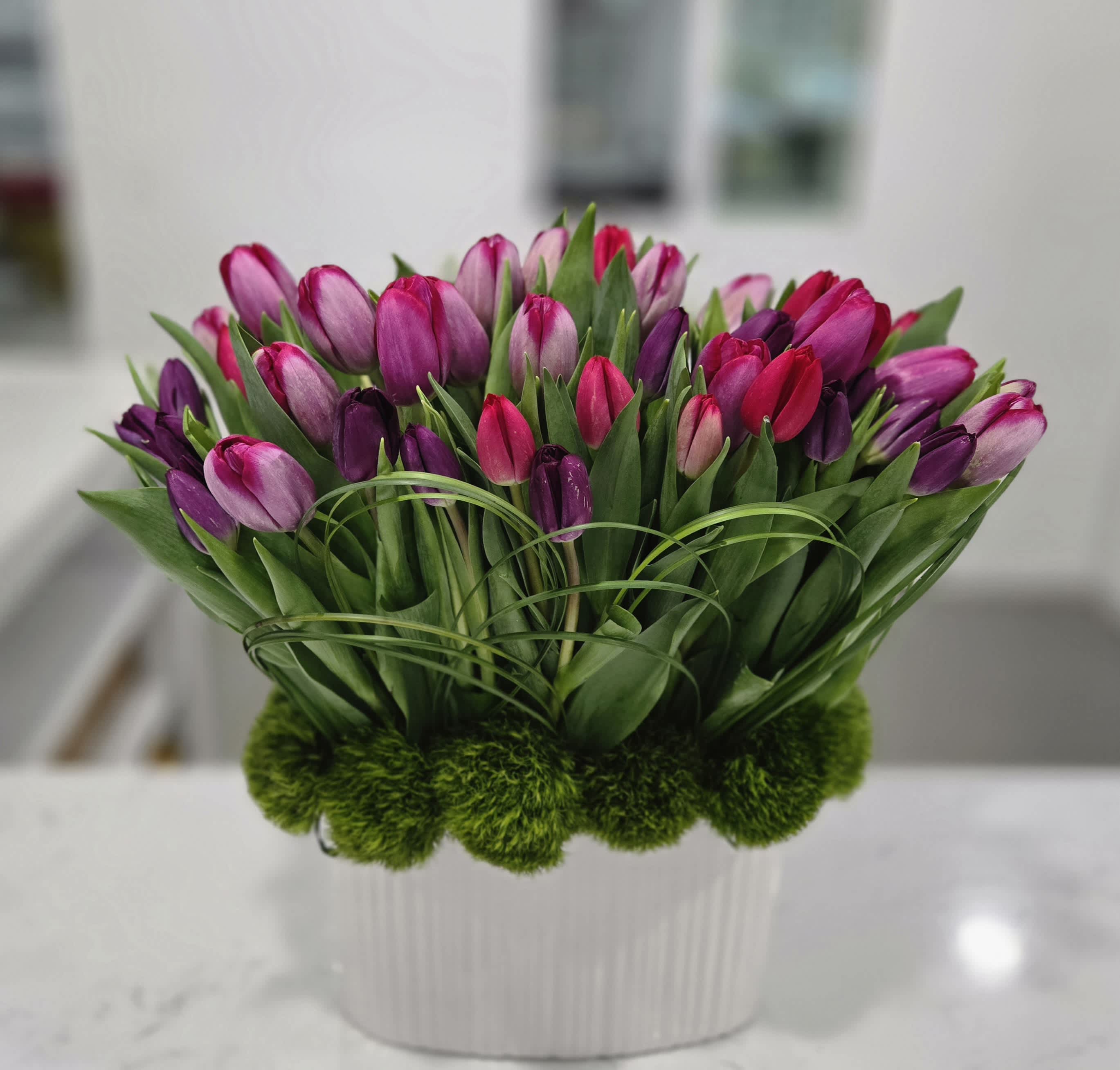 Royal Berry - A juicy combination of purple, red and pink Dutch tulips designed in a modern white ceramic container.  Appropriate for any occasion.