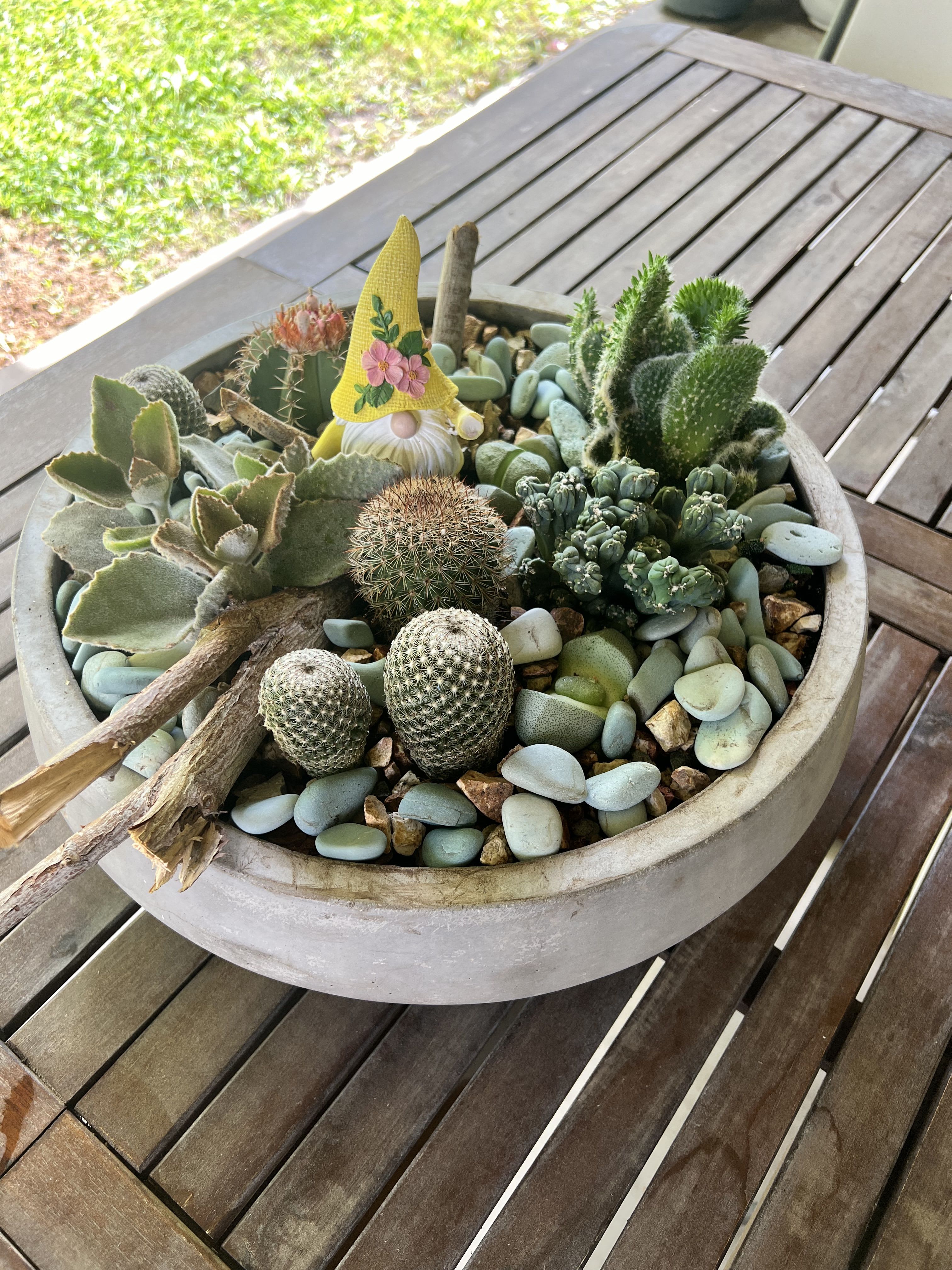 Desert Oasis - Cactus garden