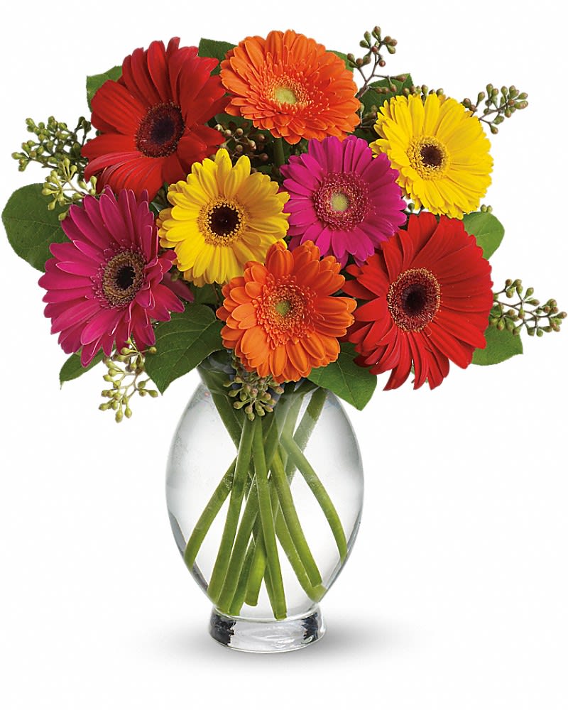 Teleflora's Gerbera Brights - Sending this bouquet just might be your brightest idea of the summer! Gerberas are so full of color, charisma and character, and this arrangement showcases their glory. Hot pink and red gerberas, miniature hot pink and orange gerberas and yellow seeded eucalyptus are delightfully delivered in an Inspiration Vase.