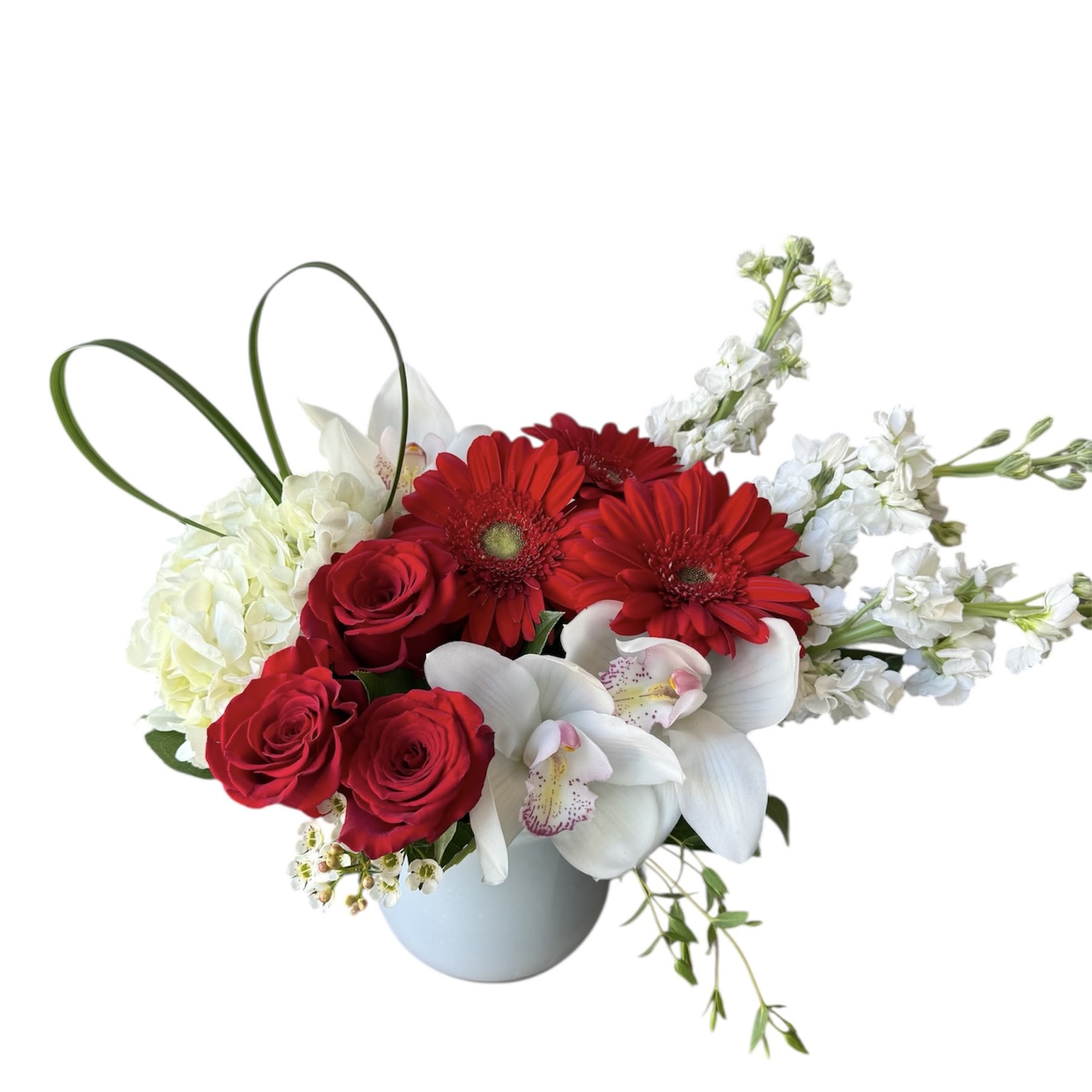 Love in Full Bloom - White hydrangea, white cymbidium orchids, red roses, red gerbera daisy, white stock and heart shaped green leaf designed in a white glass vase. As shown. 