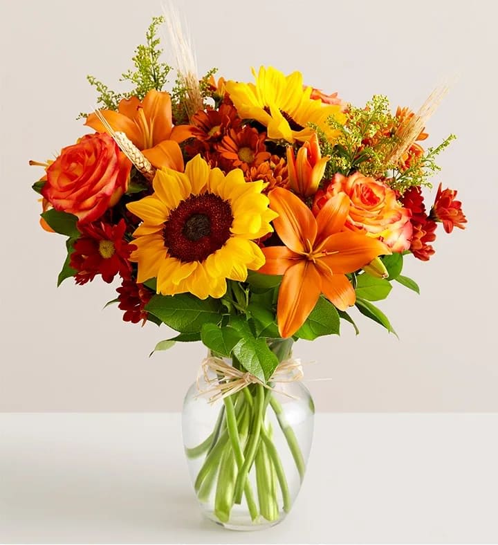 Fields of Europe® Fall - Fields of Europe® Fall