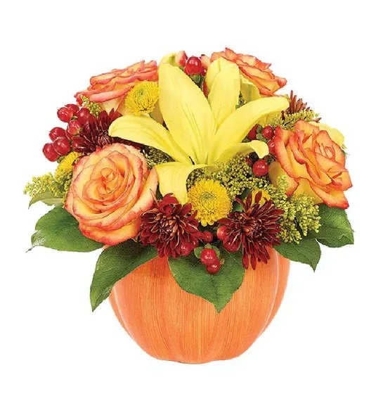 Harvest Pumpkin Celebration  - Harvest Pumpkin Celebration 