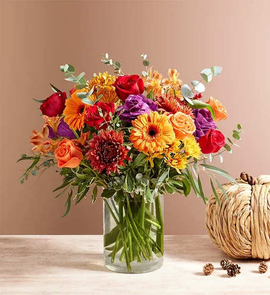 Garden of Grandeur - Garden of Grandeur