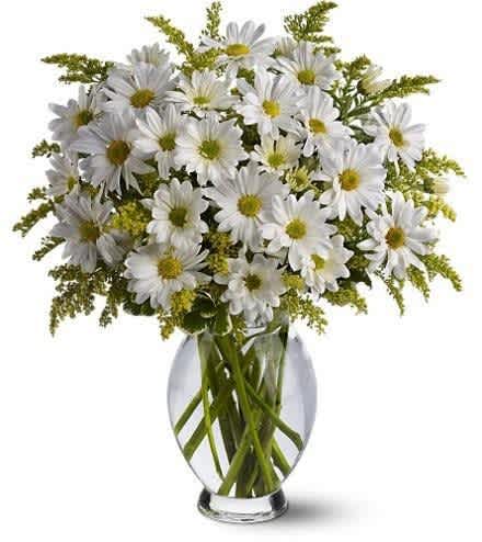 sweet Daises arrangements   - beautifully arranged Boquete of daises in a vase, perfect for any occasion, center piece, birthday or mothers day.