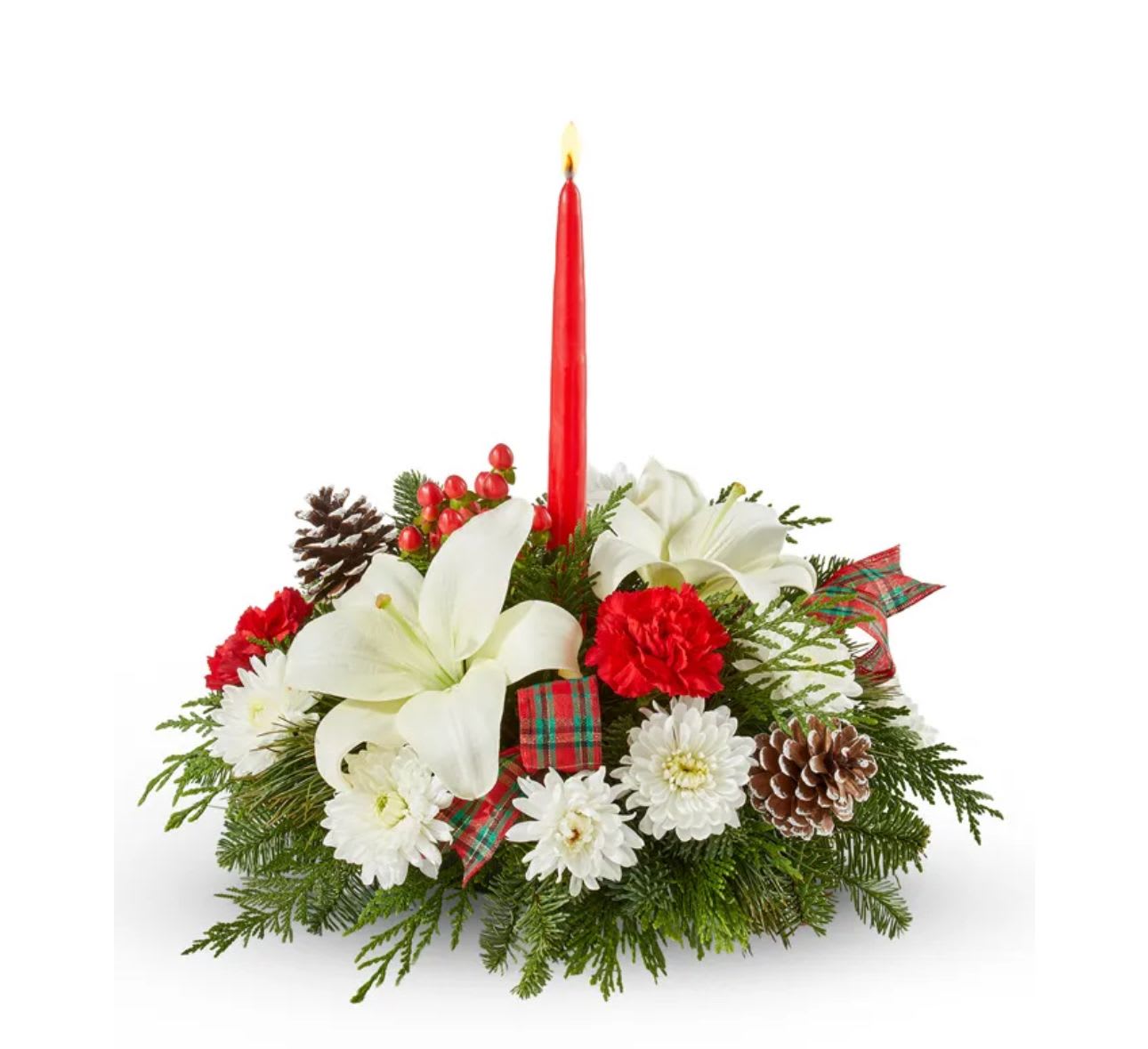 Magic Bloom  - To celebrate the holidays 