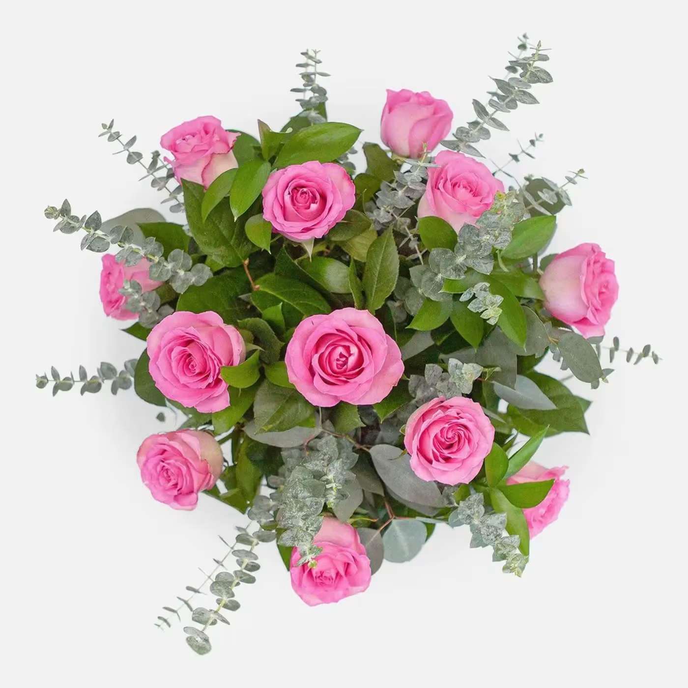 1 Dozen Pink Roses in a Bouquet - 1 Dozen Pink Roses Bouquet paper wrap (no vase)