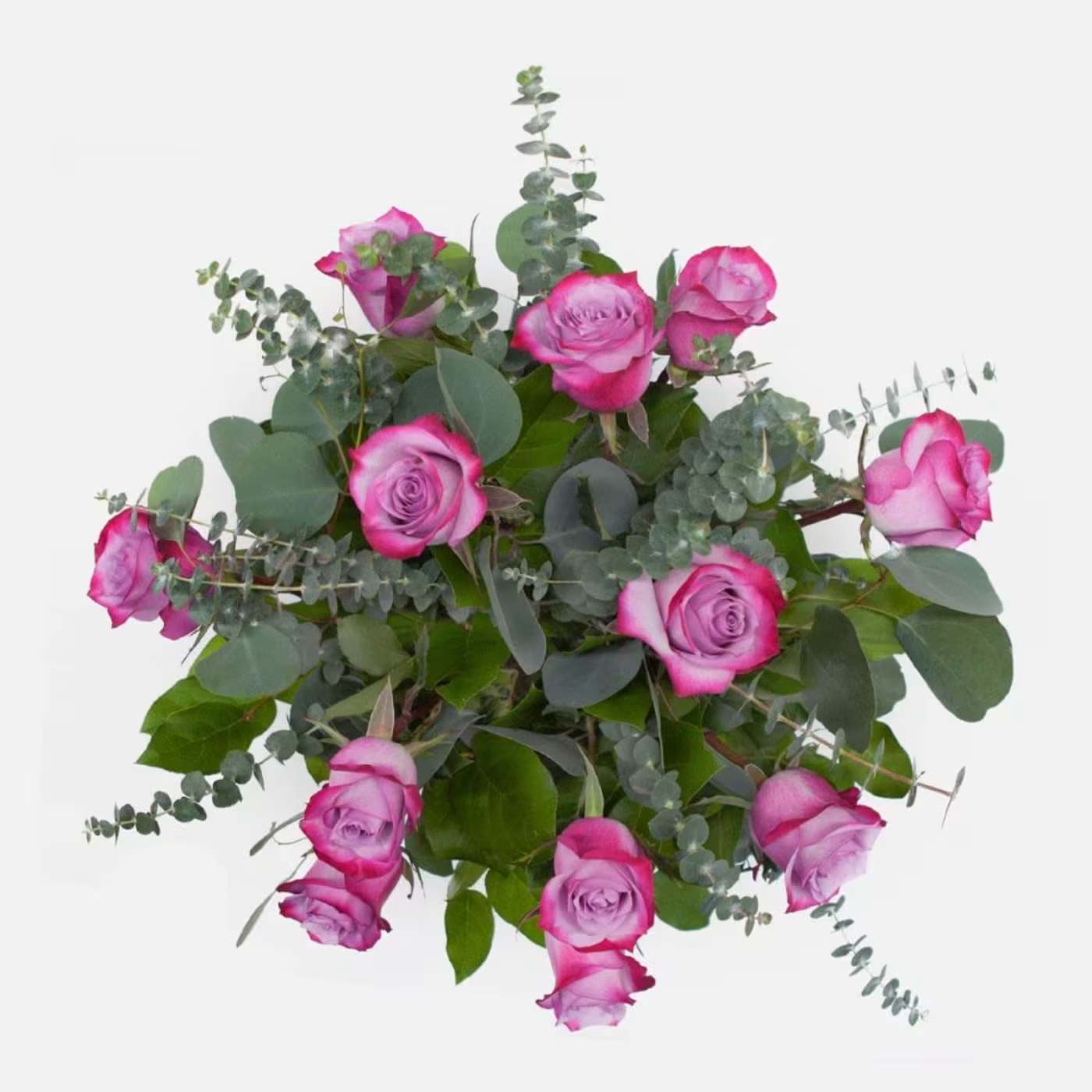1 Dozen Purple Roses in a Bouquet - 1 Dozen Purple Roses filled with eucalyptus and salal in a bouquet (paper wrap) (no vase)