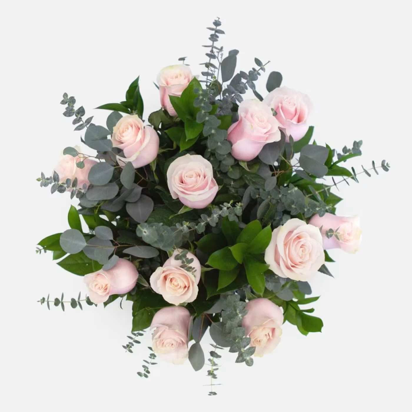 1 Dozen Soft Pink Roses in a Bouquet - 1 dozen soft pink roses filled with eucalyptus and salal, wrapped in paper (no vase)