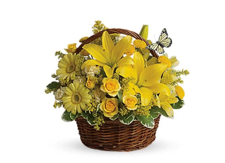 Basket Full Of Wishes - Wishes do come true, by the basketful, actually. This delightful arrangement is so full of sunny blossoms, it even includes two pretty yellow butterflies who obviously feel right at home, basking in the warmth. Brilliant yellow roses and spray roses, asiatic lilies, miniature gerberas, carnations, alstroemeria, button spray chrysanthemums and delightful greenery are joined by delicate butterflies in an oval basket. It's a basket of wonder and wishes!   Orientation : All-Around  All prices in USD ($)  Standard  T27-2A  Deluxe  T27-2B  Premium  T27-2C