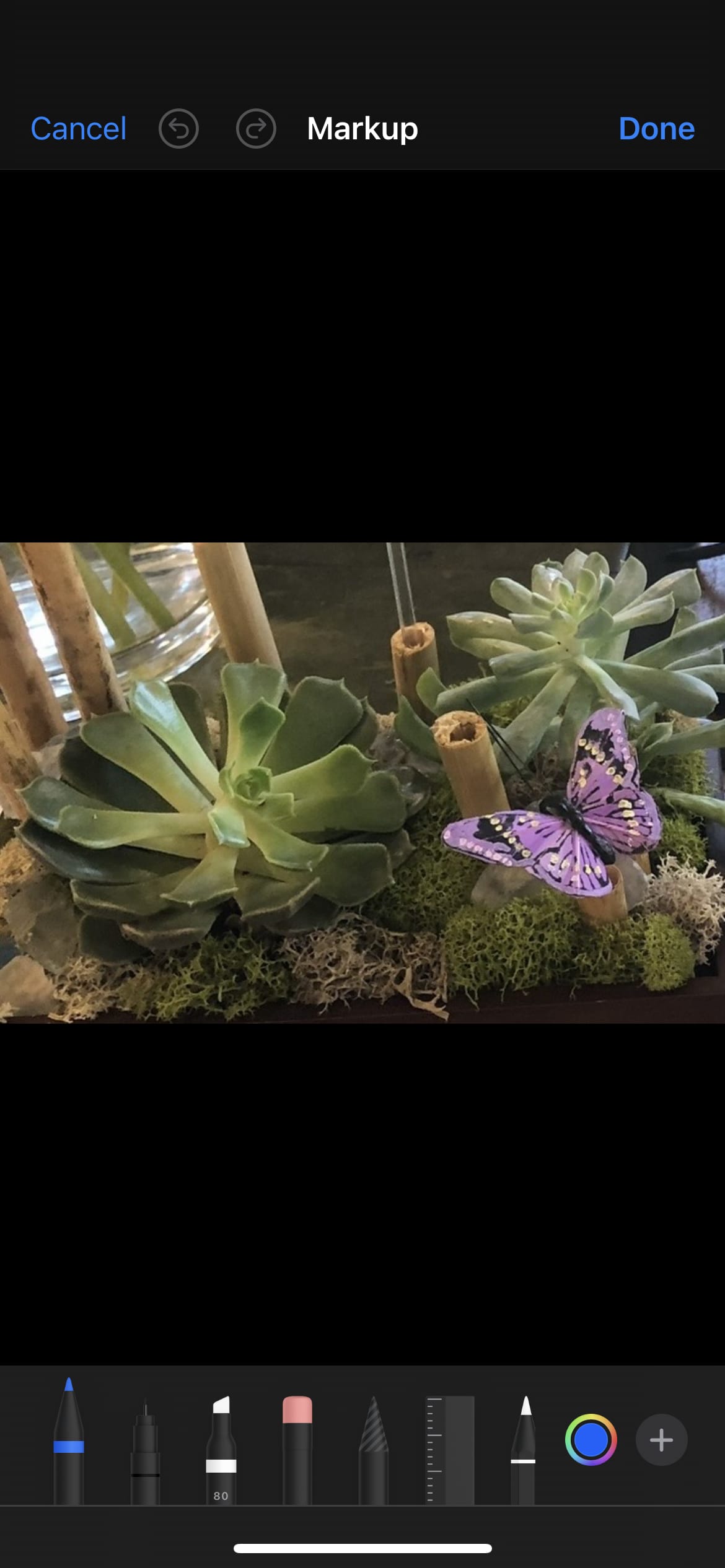 Succulent Garden - A collection of succulents planted in a wooden container. Dressed up nicely with moss and a butterfly. Perfect low maintenance gift for any occasion.