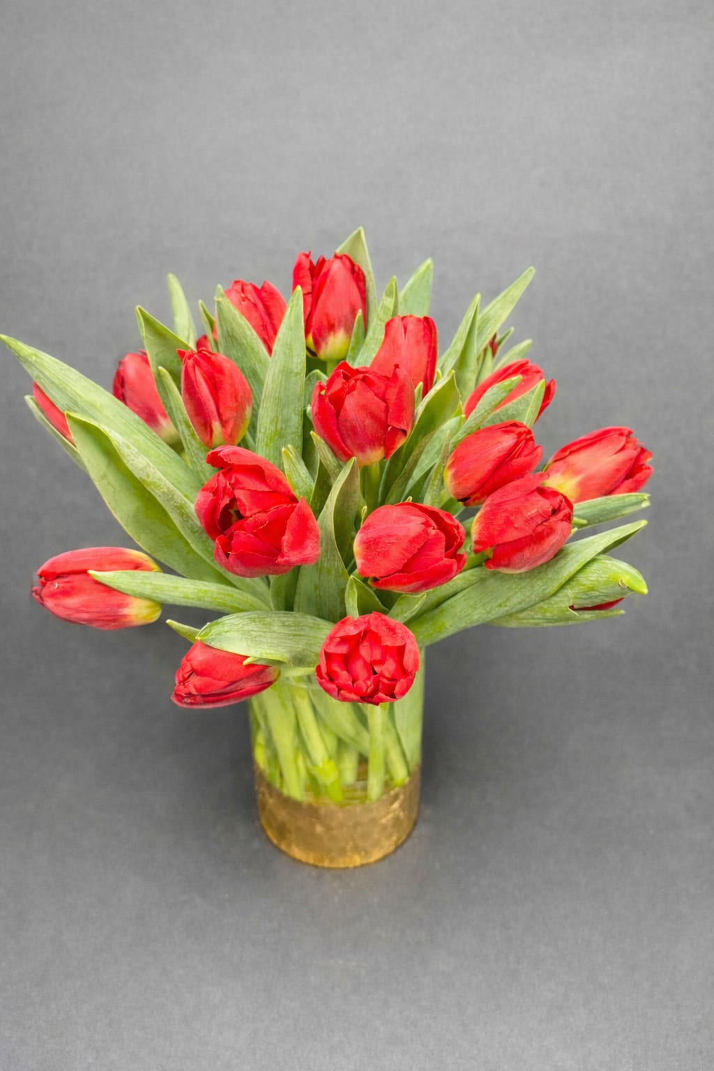 True Romance Tulips - A timeless arrangement of vibrant red tulips, symbolizing deep love, passion, and devotion. Clean, modern, and effortlessly romantic—perfect for saying “I love you” without saying a word.
