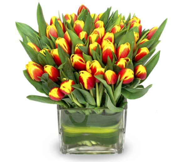 Edge - Keep it modern and simple for cosmopolitan chic. Variegated spring tulips in a square vase will become a conversation piece at any event. Cube vases give a cool, modular look to any flowers. Arrangement shown on the picture is of deluxe size and has 40 stems in 4X4 square vase.