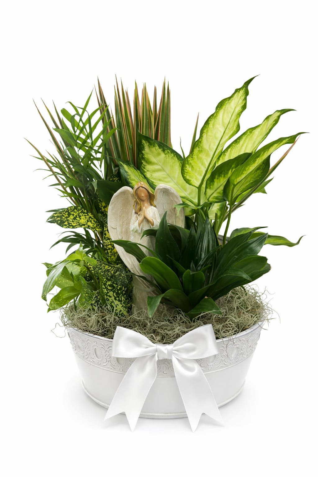 	Heavenly Comfort - A peaceful assortment of green plants arranged with a graceful angel figurine and finished with a white bow. A comforting tribute to express sympathy and remembrance.