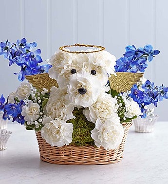 All Dogs Go to Heaven - Send your deepest sympathies for the loss of a loved one or beloved pet with our truly original a-DOG-able arrangements. Hand-arranged, complete with golden wings and halo, fresh carnations, delphinium and Queen Anne's lace offer a lasting memorial for friends and family who were dog lovers, or to honor the passing of a canine family member. The freshest white carnations, blue delphinium, Queen Anne's lace and variegated pittosporum Hand-crafted by our expert florists in the shape of an dog, complete with eyes and nose Accented with golden wings and an elegant halo Designed in a clear glass cube vase wrapped with blue foam ribbon; measures 5"H x 5"D A beautiful tribute to dog lovers, or for someone who has recently lost a beloved pet Appropriate to send to the home of friends, family members or business associates