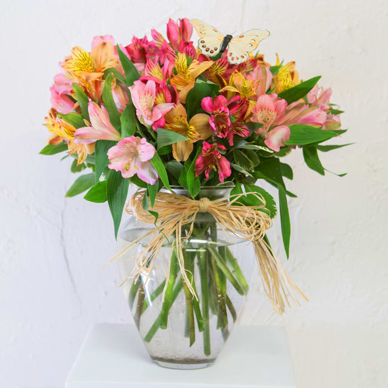 Alstroemeria Mix - Beautiful alstroemeria in a traditional, glass vase.