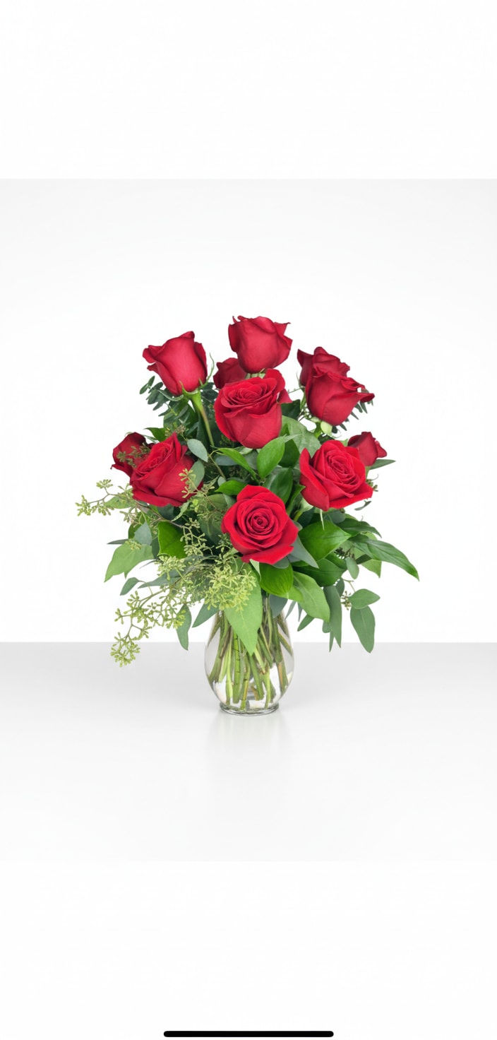 Rose value Red  - Rose value Red 