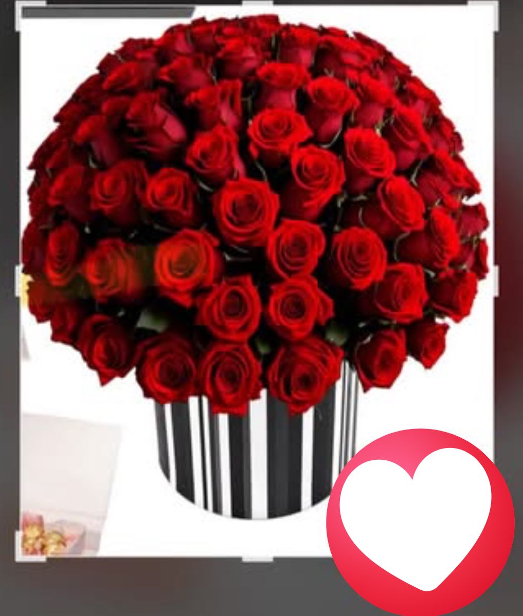 Zebra love - Deluxe zebra box with pation red roses Standar price is small box, deluxe is medium box and premium is large box