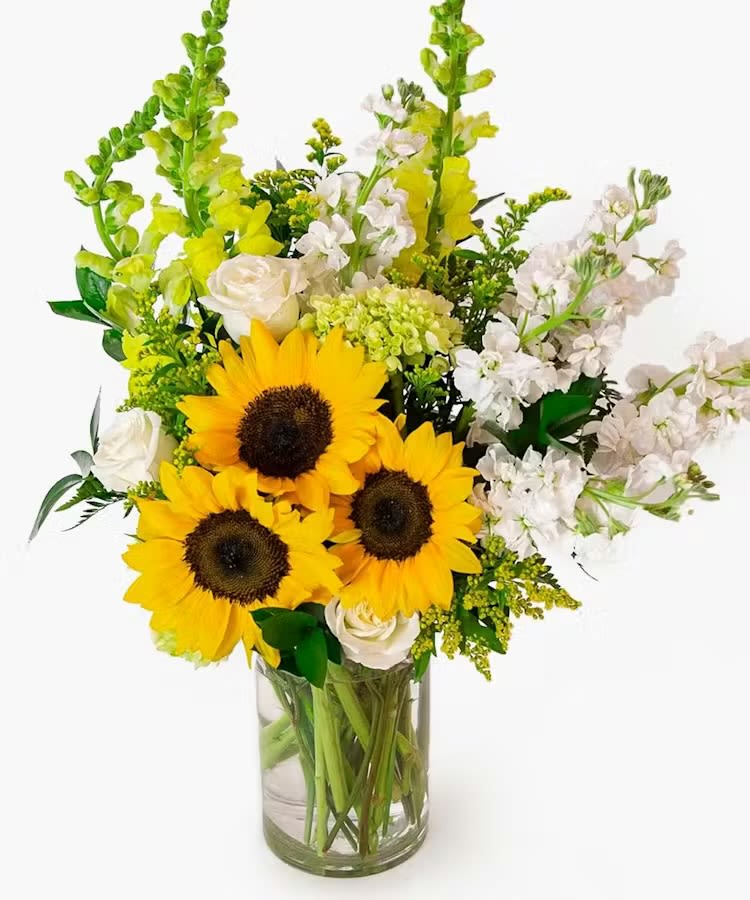 Sunshine  - Make their day brighter with our sunshine arrangement! This beautiful display of locally-grown sunflowers are paired with beautiful yellow and ivory blooms including snapdragons, stock, roses, mini green hydrangea and more carefully hand-designed in a timeless tall cylinder glass vase. 