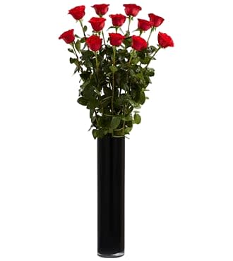 Extra Long Stemmed Red Rose - We will have a limited supply of Explorer Roses. They are available on a first come first serve standing over 3 feet tall, these ruby red roses seem too good to be true! Your Valentine is one of a kind, so why not send this one of a kind .straight from the heart. Roses have been used to express emotion for hundreds of years. Affection, friendship, respect or courage, show someone special how much they mean to you with this incandescent bouquet