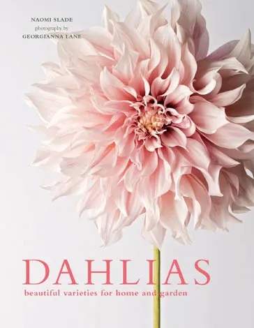 Dahlias Hardcover Book - Dahlias; Beautiful Varieties For Home &amp; Garden (Hardcover)