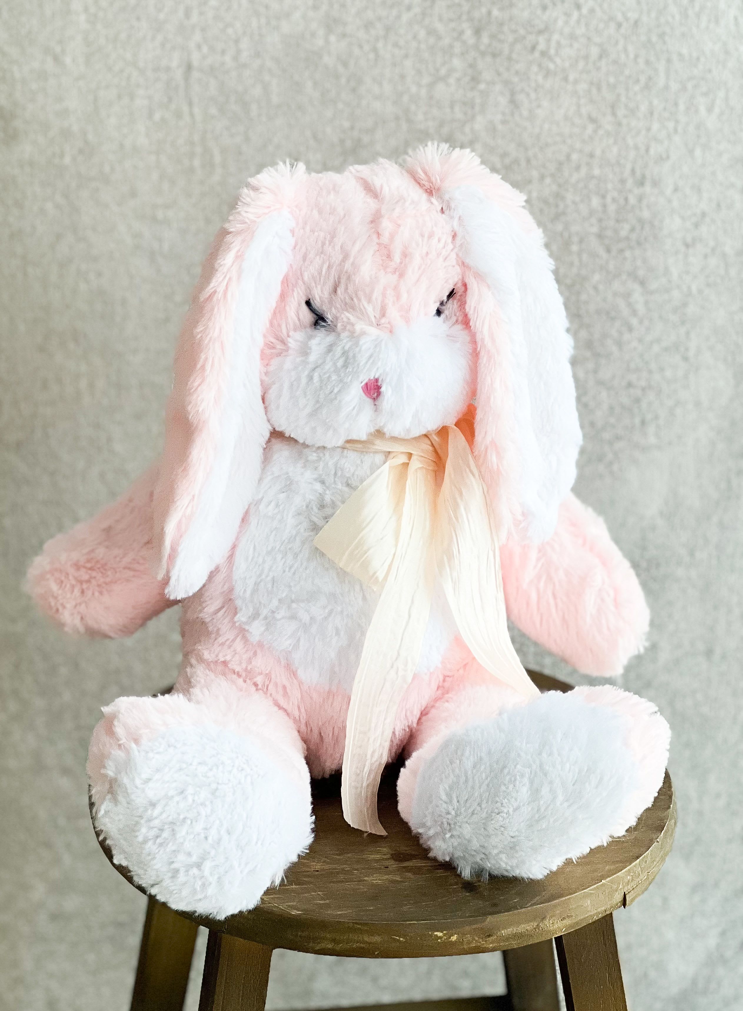 18" Pink Plush  - Blush stuffed animal 