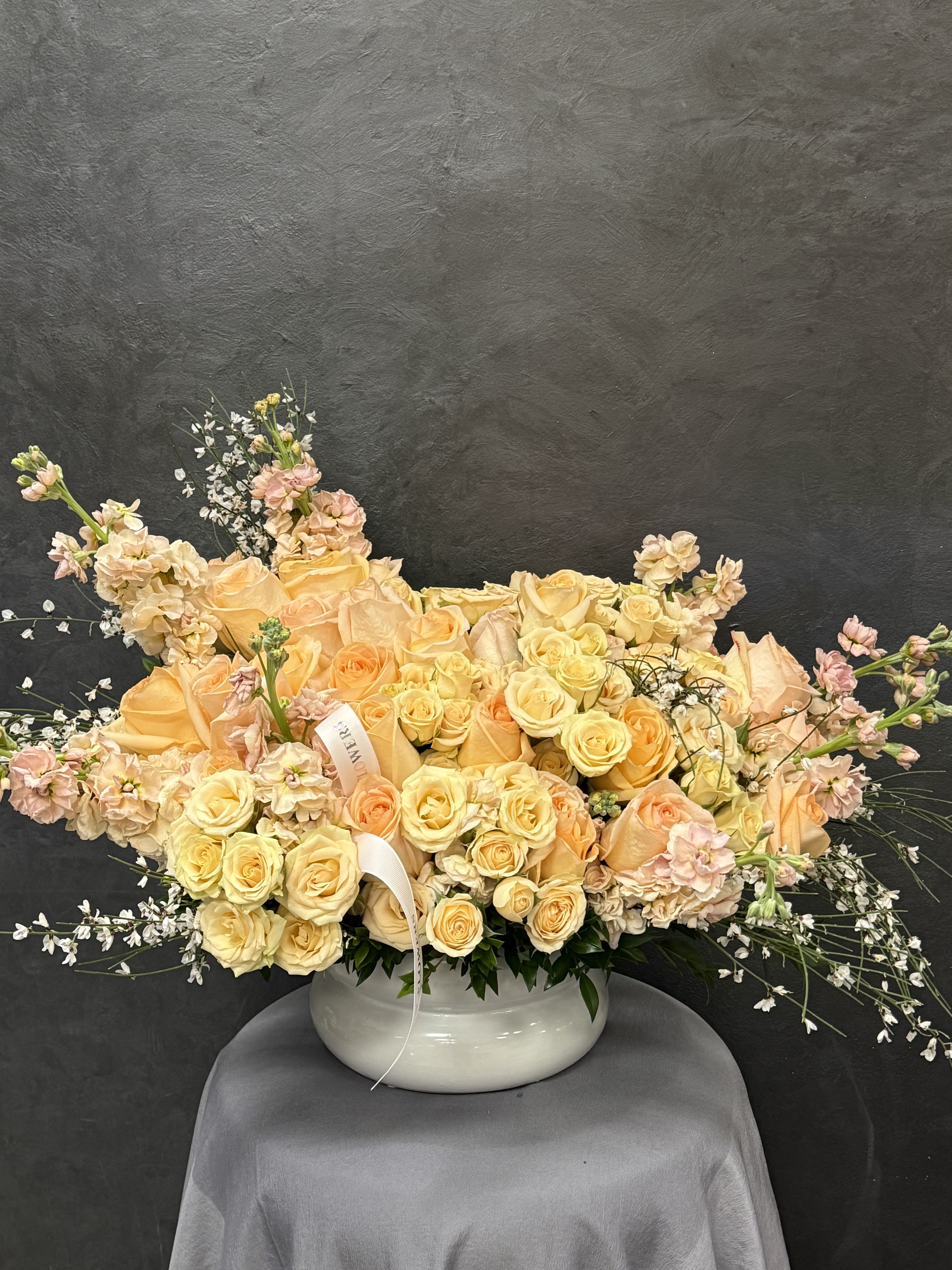 Paula - Soft peach petals kissed by light, bringing gentle romance and refined charm.