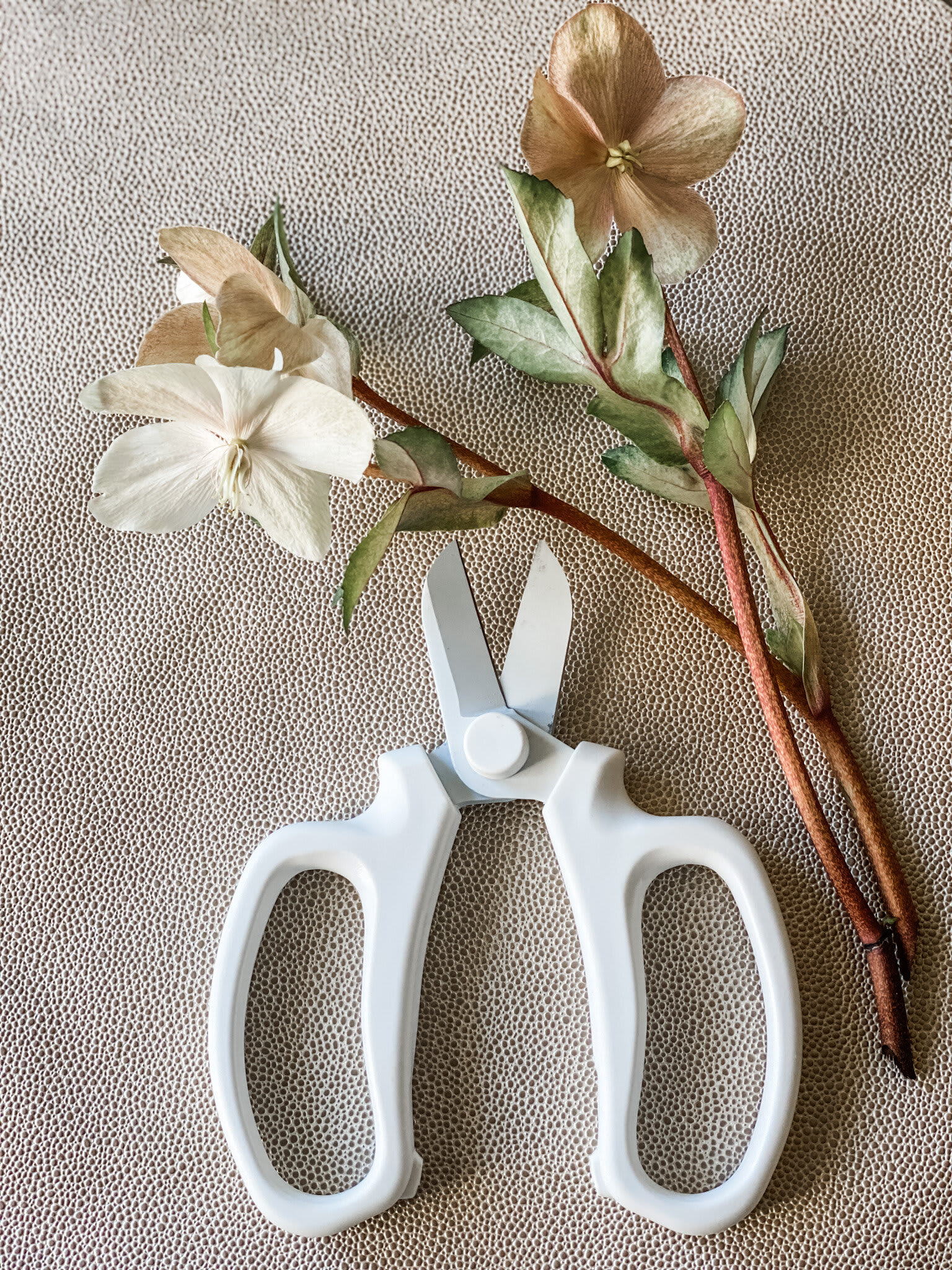 Flower Snips  - Flower snips 