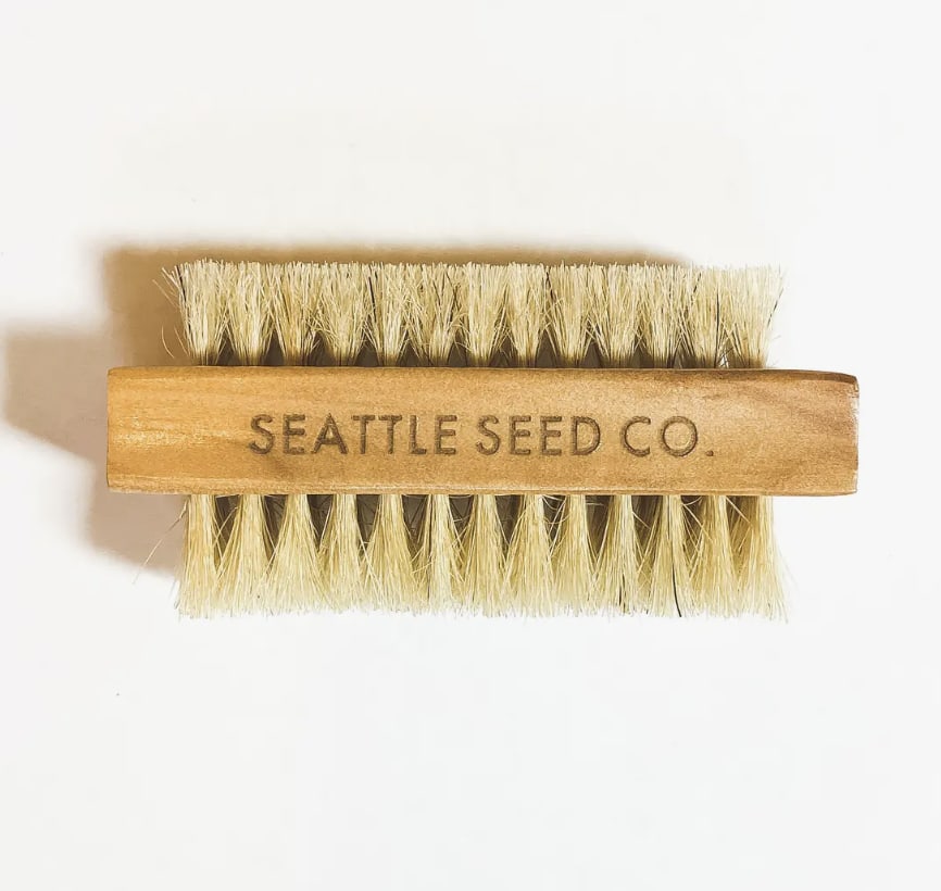 Vegetable and Nail Brush - Vegetable and Nail Brush