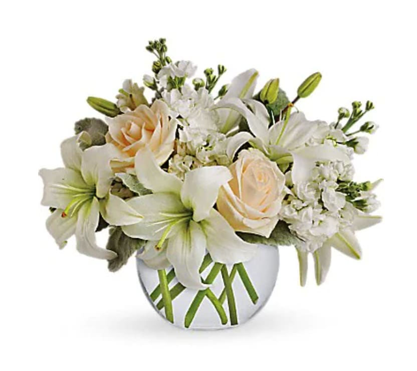 Isle Of White - Like a vacation for the senses, this lovely bouquet delivers an oasis of beauty and elegance. Soothing, serene and very special. Crème roses, white asiatic lilies and stock stem are incredibly arranged in a bubble vase. When it comes to bouquets, this is definitely the right way to do white.   Orientation : All-Around  All prices in USD ($)  Standard  T55-3A  Deluxe  T55-3B  Premium  T55-3C
