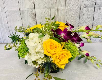 V120 - A lush compact arrangement of hydrangeas, roses, orchids and blue thistle. 