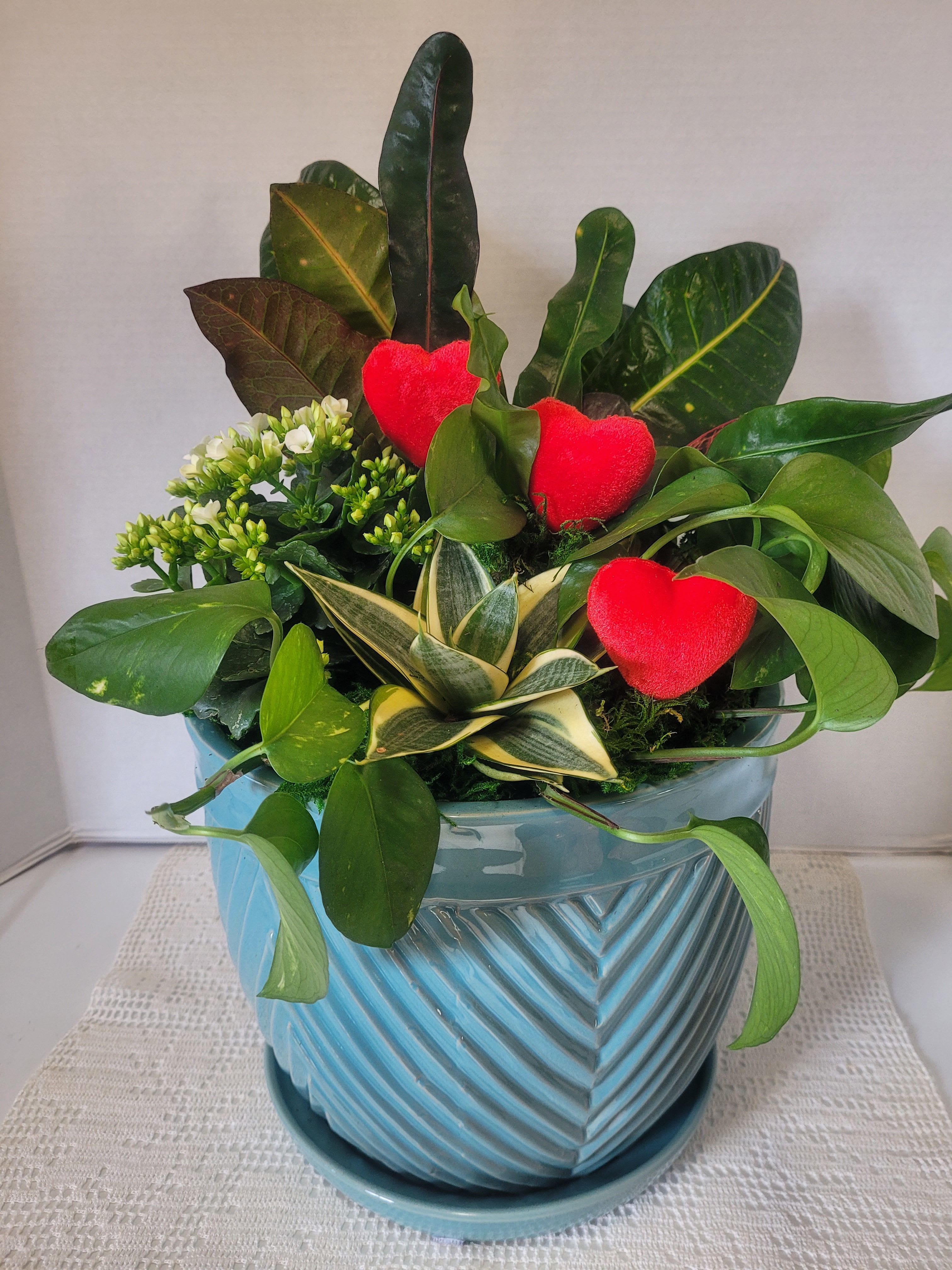 Extra Large and Tall Blue - A beautiful mix of houseplants that will add warmth to your space. The ceramic container comes with the saucer attached. Ideal for anyone or any occasion. 