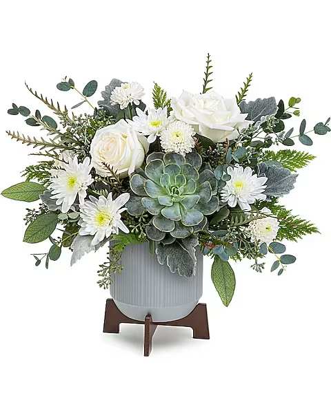 Tranquil Clouds Bouquet - Inspired by tranquil clouds, this elegant bouquet of white blooms and varying greens is perfectly arranged in a planter. White roses, white cushion spray chrysanthemum, white button spray chrysanthemum, and a succulent are accented with dusty miller, leather leaf, and eucalyptus. The bouquet is delivered in a planter.