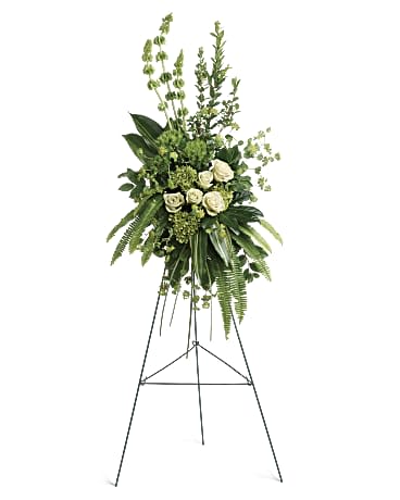 Forever At Peace Spray - A peaceful display of affection and sympathy, this monochromatic spray of gorgeous fresh greens and pure white roses is a vision of tranquility.This tranquil spray of miniature green hydrangea, green roses, green trick dianthus, and bells of Ireland is accented with bupleurum, myrtle, sword fern, variegated aspidistra leaves, aralia leaf, bear grass, and lemon leaf. Delivered with a wire easel. Approximately 24 1/2" W x 47" H