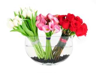 Classic Elegance   - is a modern take on a special day. Beautifully assembled with tulips, roses, and mini calla lilies. All arrangements made with love! 