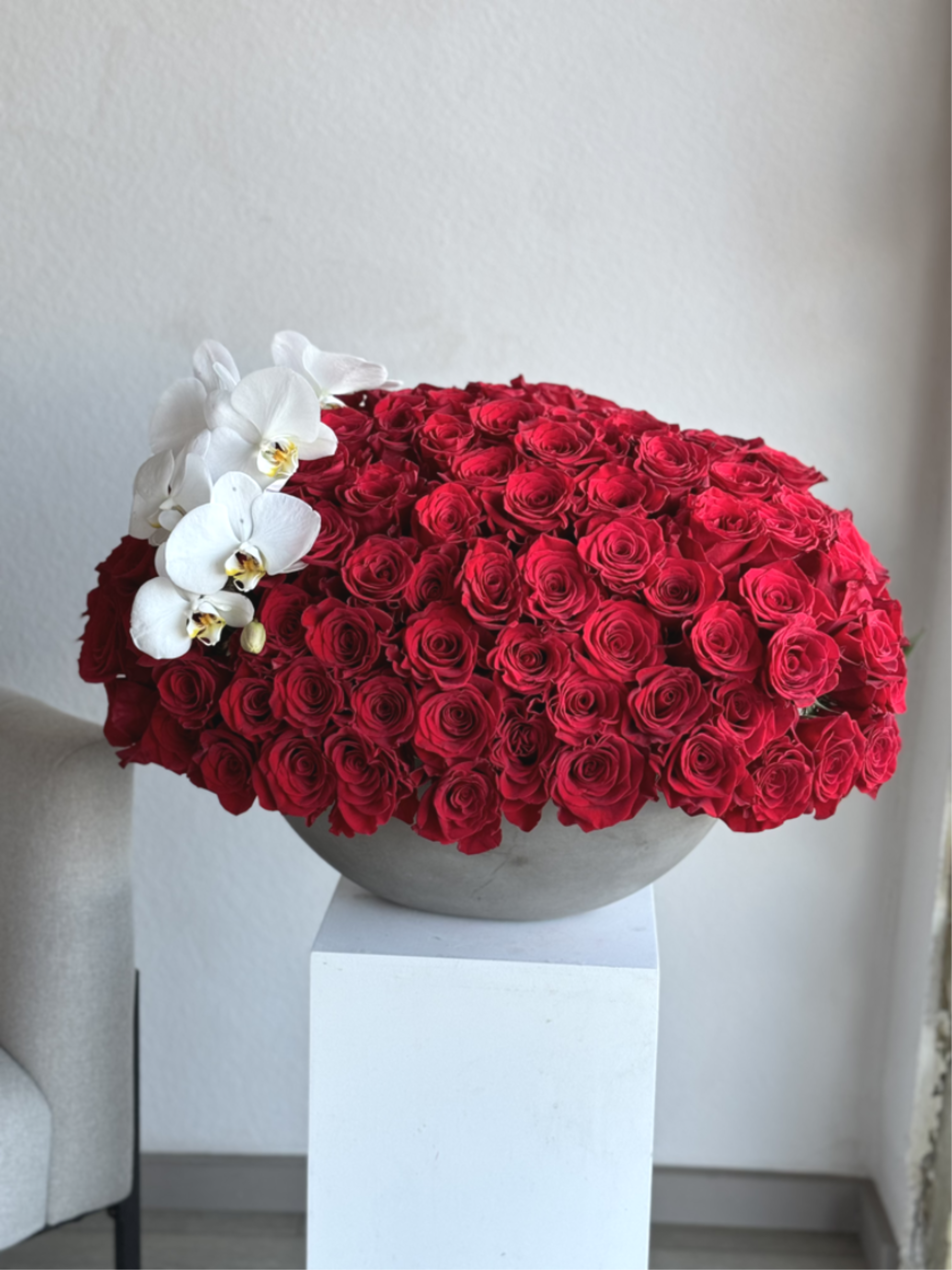100 Red Roses in a concrete vase - An opulent bouquet of 100 radiant red roses, beautifully arranged in a concrete vase. This Bouquet is a symbol of love and admiration, making a bold and unforgettable statement