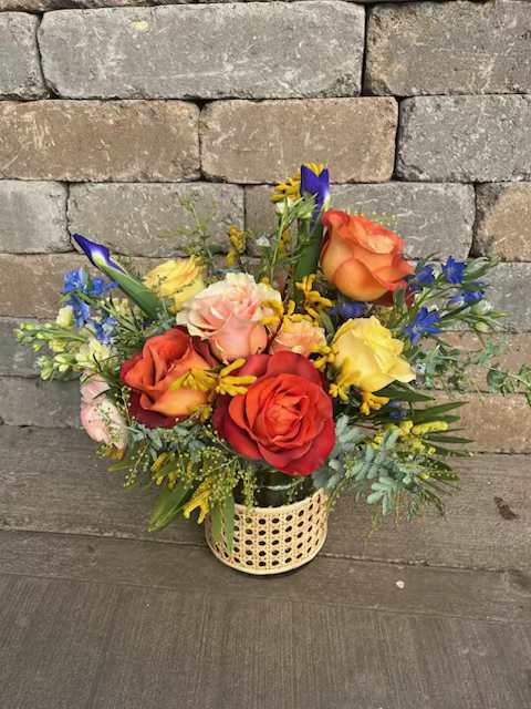 Chasing the Sun - Deep hues of varying colors!