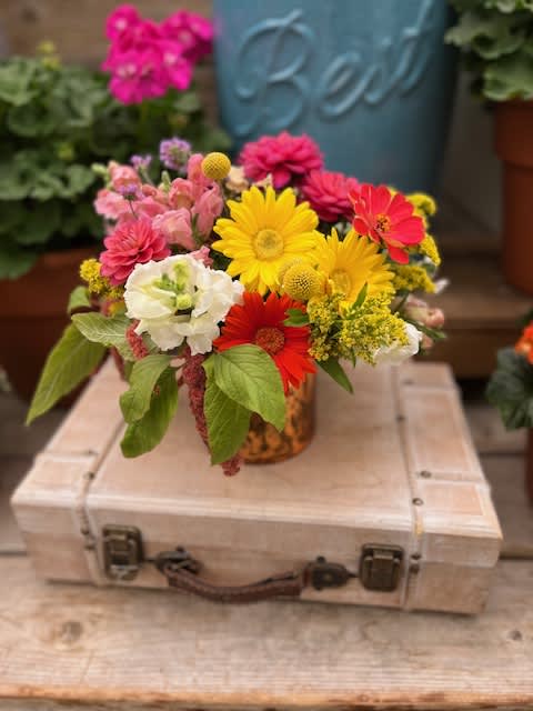 Happy Gerbera - Gerbera mix, bright, bold and beautiful