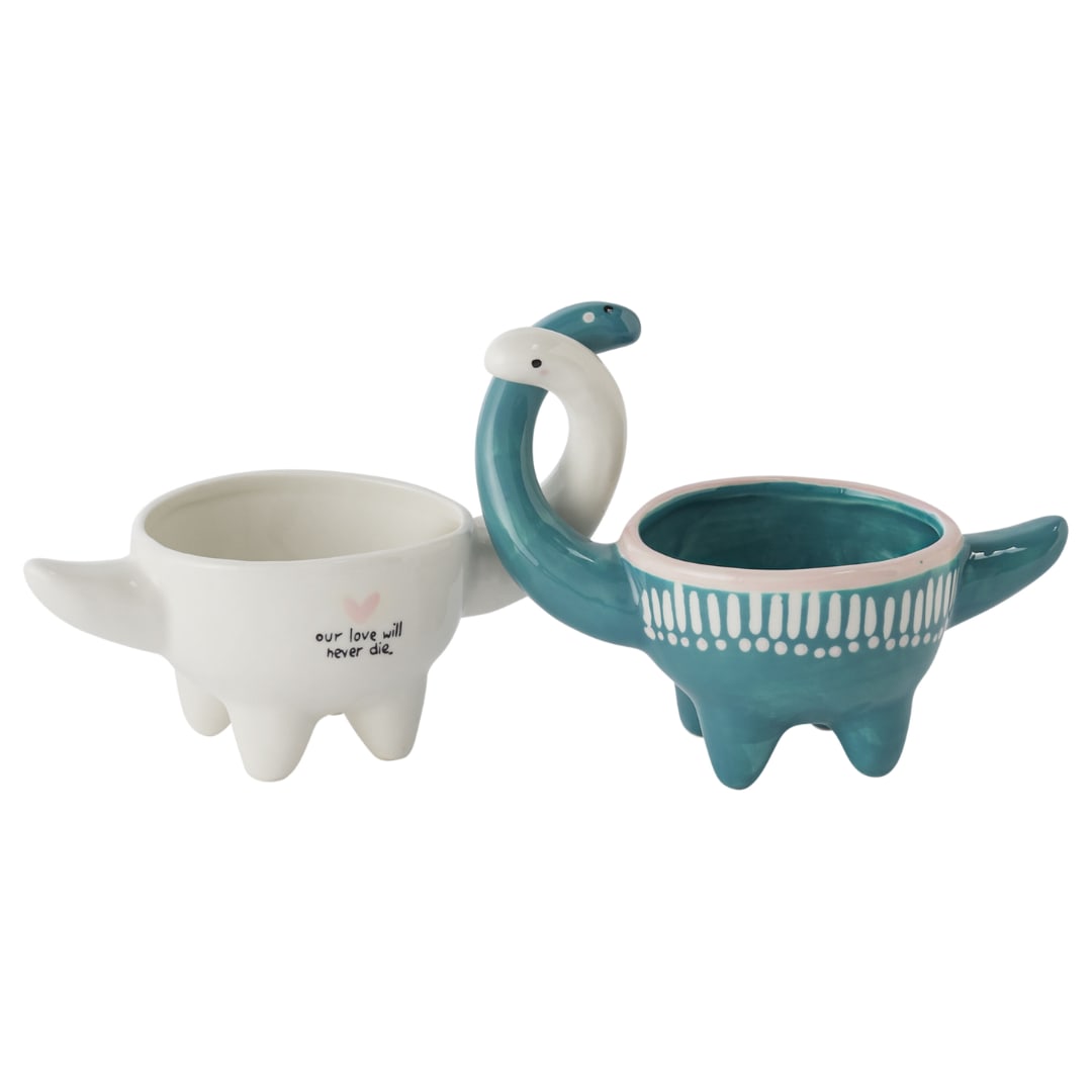Dino Love Pots - Set of 2 - These two dino pots are a match made in heaven. White dinosaur reads "Our love will never die". These pots come in a set of two: one blue dino, one white. SIZE: Plant opening 3", 11.25"x 3.25"x 4.75" DELUXE INCLUDES ASSORTED STANDARD 3in PLANTS