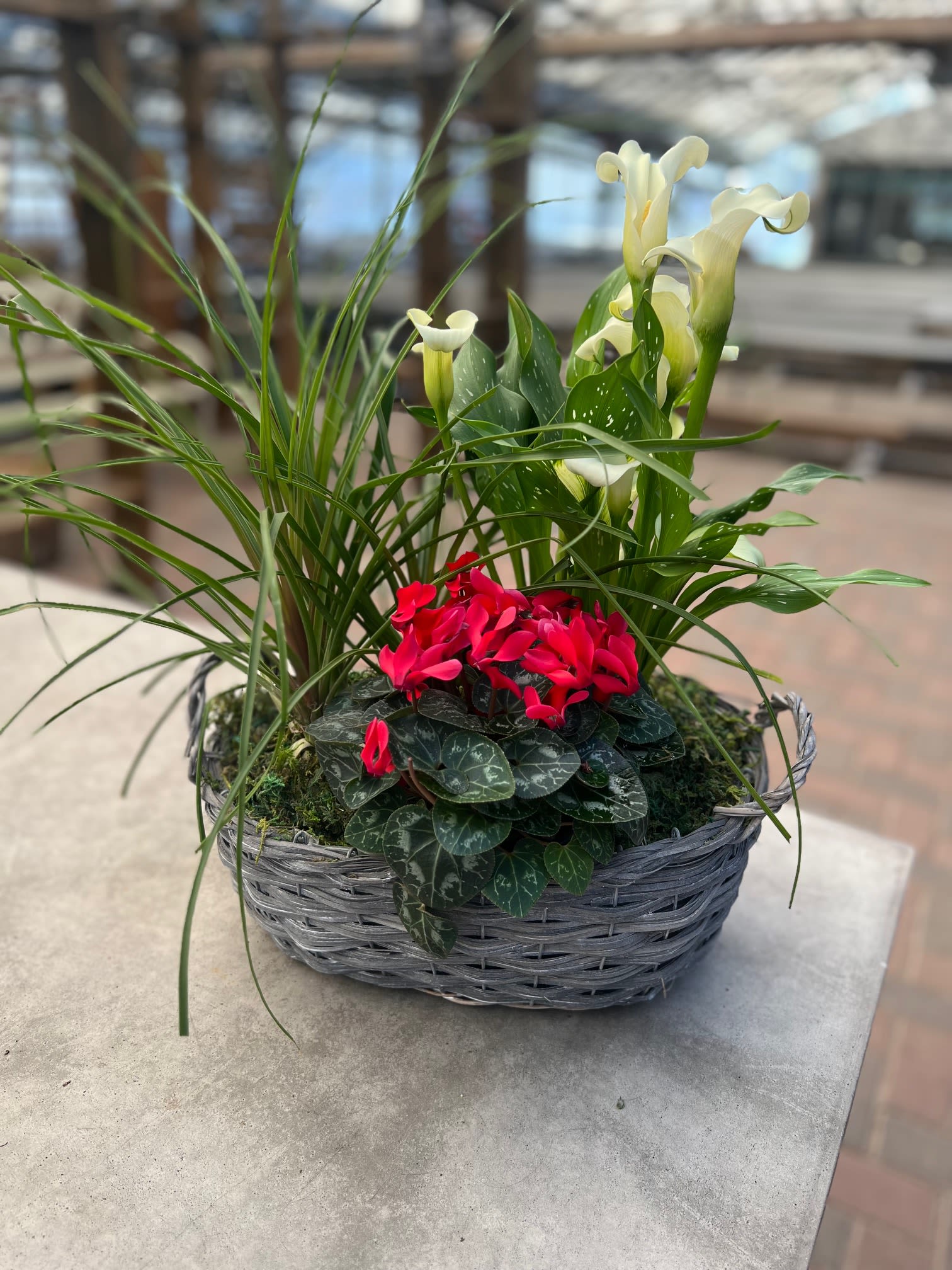 Life is a Flower - Ponytail Palm meets florals. A basket arrangement that will bring delight. 
