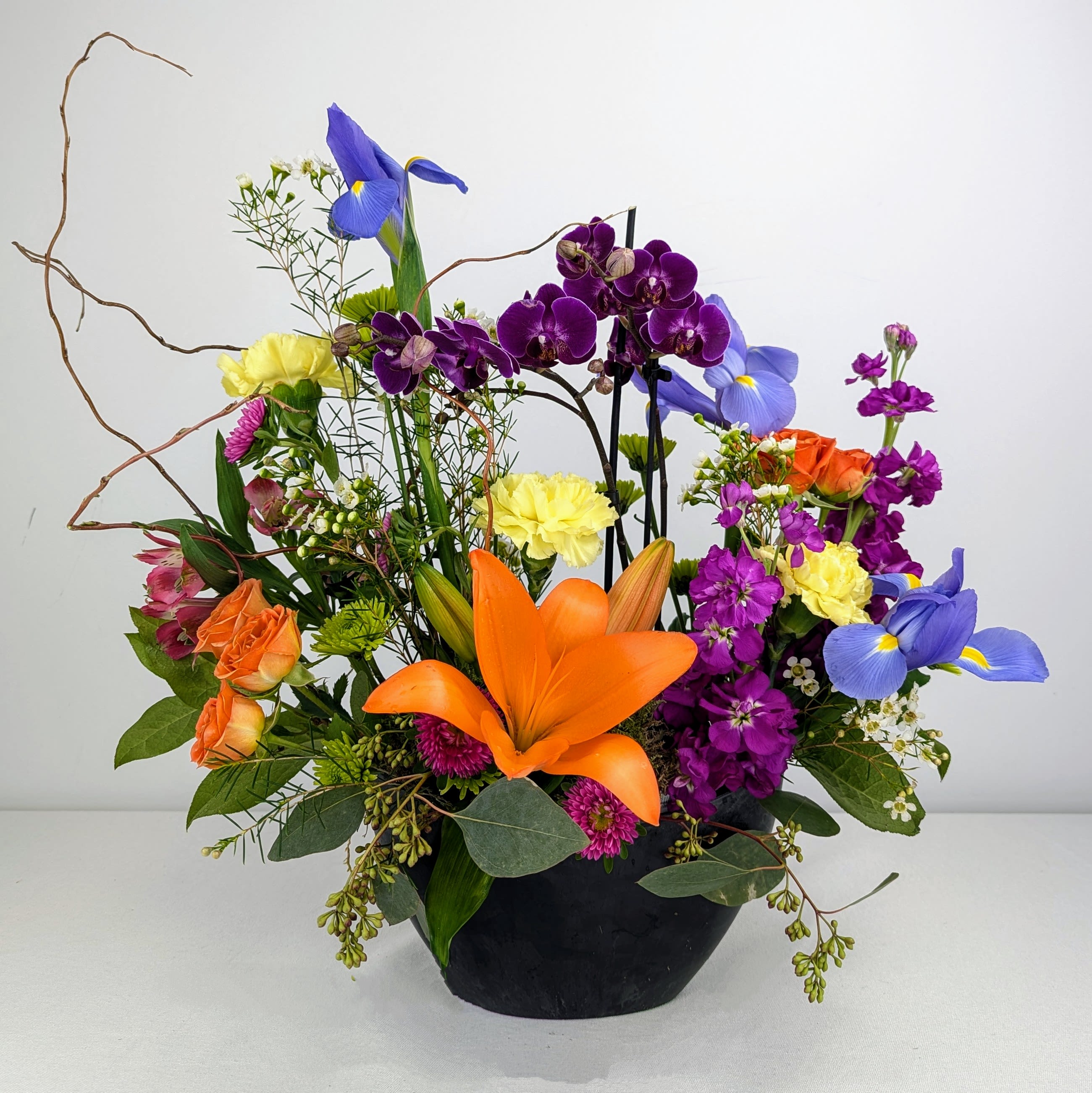 Urban Orchid - A bright and bold display of beautiful seasonal blooms that includes a real orchid plant! Great for Mother's Day, birthday or any day.