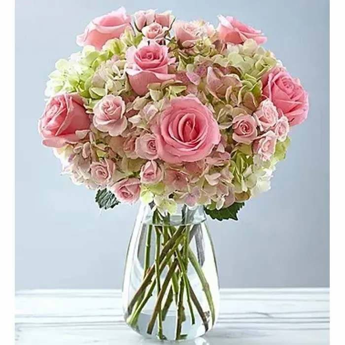 Elegant bouquet  hydrangeas and roses - This elegant bouquet  hydrangeas and pink roses is a stunning combination of classic beauty and passionate ,Lovely artisan bouquet of premium long-stem light pink roses, green 'Antique' hydrangeas and green spray roses.