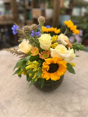 Sunny Afternoon - This one pops with colorful bursts of yellow.