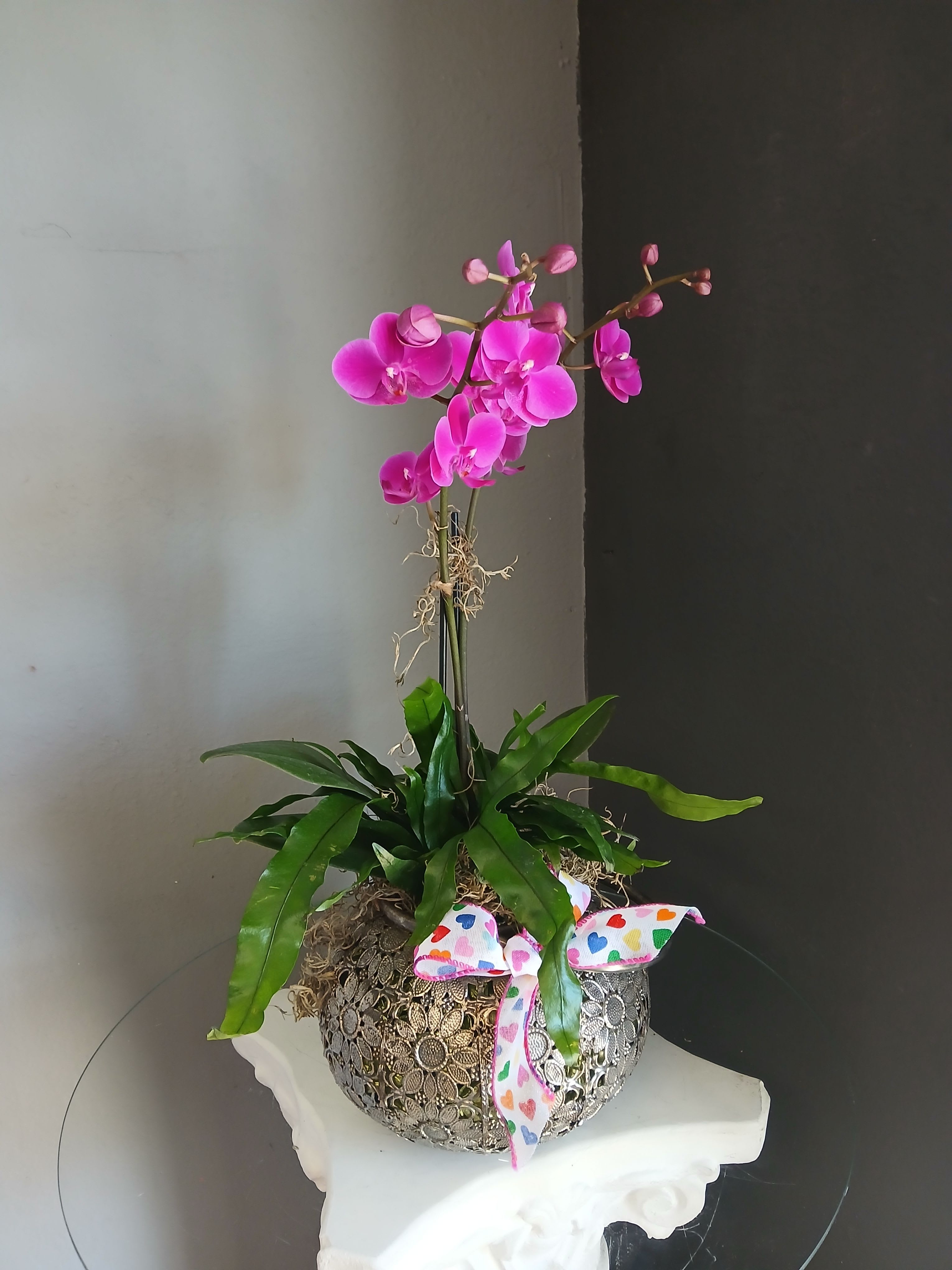 Orchid + fern (flower lantern) - A beautiful vibrant purple mini Orchid paired with fern to make a magical piece. Potted in a decorative lantern. Pet friendly.