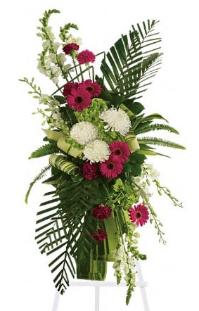 Gerberas and Palm Standing Spray - Convey your respect and admiration with this spray of striking red and white funeral flowers. Red gerberas and carnations complement white orchids, snapdragons and chrysanthemums, all set against the deep greens of tropical palm leaves.