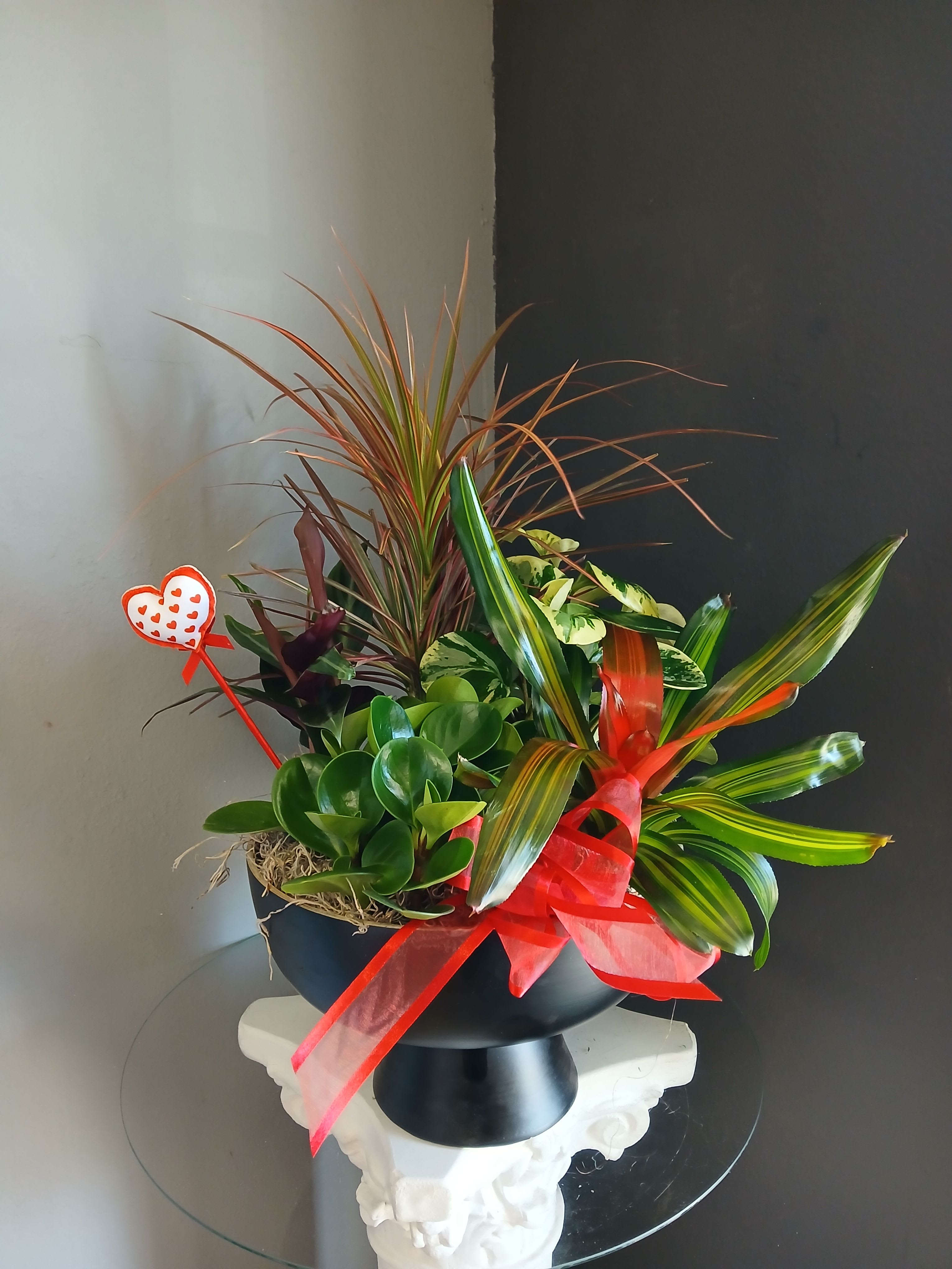 Valentines plant mix (round black pot 1) - A lovely mix of dracena, two varieties of peperomia, calathea and bromeliad. Decorated for this Valentine's Day. Overall, not pet friendly.
