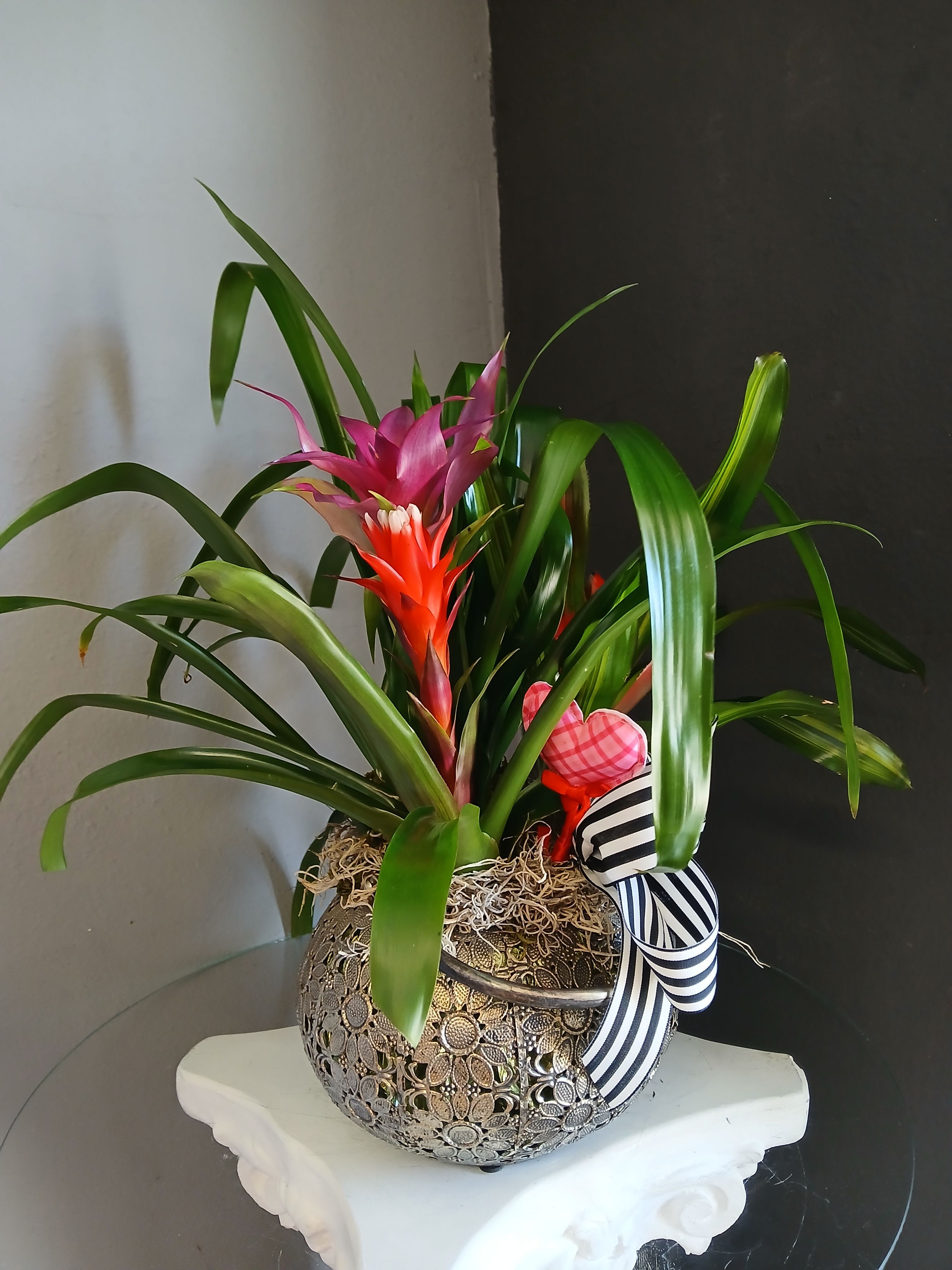 Trio of Bromeliads - A simple yet beautiful mix of bromeliads in a decorative lantern. Pet friendly.
