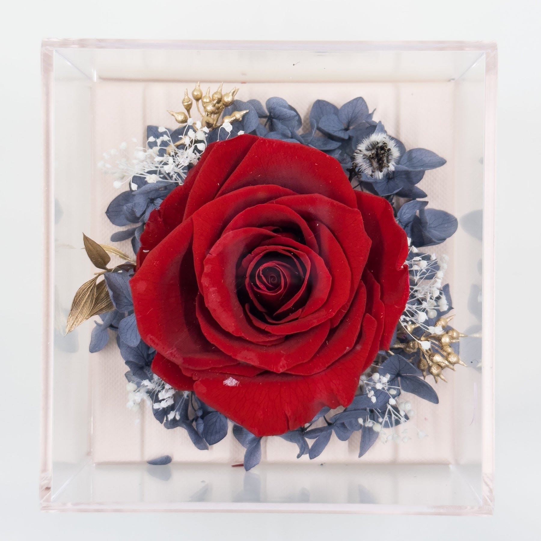 Red Preserved Rose Jewelry Box  - Add a touch of elegance to your jewelry collection with our preserved rose jewelry box, the perfect addition to any timeless piece. This stunning jewelry box features a real preserved rose, meticulously arranged with other beautiful preserved flowers, all encased in a clear vinyl cover. Beneath the floral display, a discreet drawer offers a stylish and practical storage solution for your favorite jewelry.  Product Features:  • Real Preserved Rose: Showcases a real preserved rose arranged with other preserved flowers. • Clear Vinyl Cover: Protects and highlights the floral arrangement while keeping it visible. • Hidden Drawer: Conveniently stores your jewelry underneath the floral display. • Dimensions: 5 inches in height, length, and width.  Celebrate your cherished items with a unique and elegant keepsake that combines beauty and functionality. This preserved rose jewelry box is a timeless way to store and showcase your most treasured pieces.