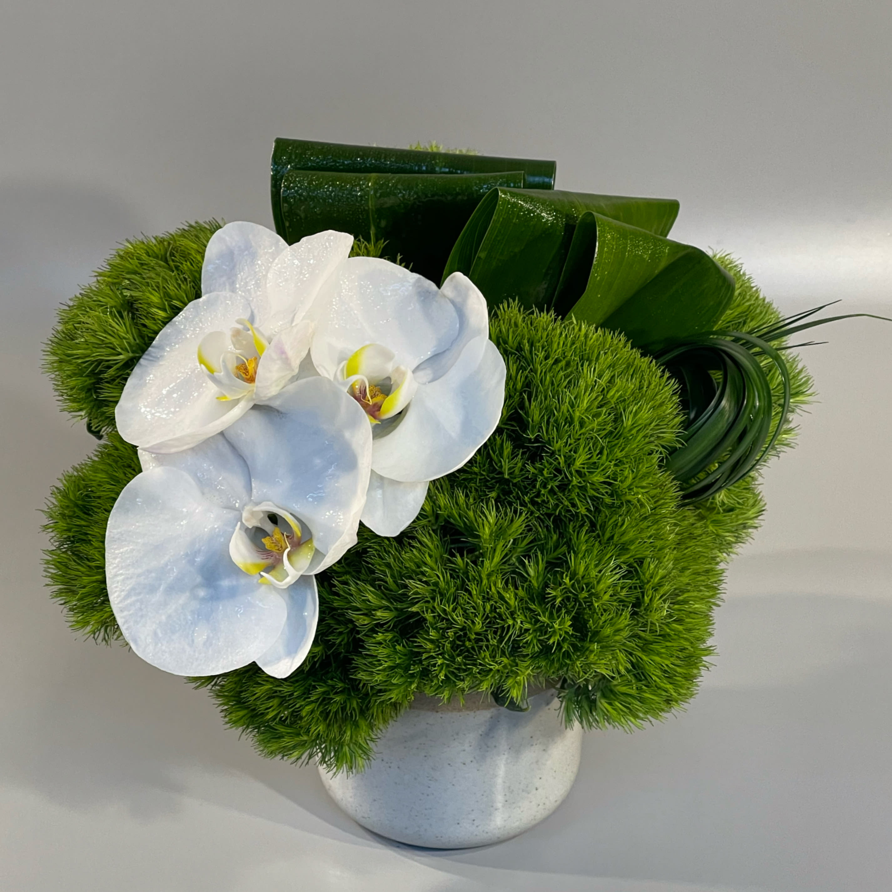 MADISON - A chic and modern design using soft green dianthus, sculpted foliage, and elegantly placed white orchid blossoms designed in a reusable modern reusable ceramic vessel. 