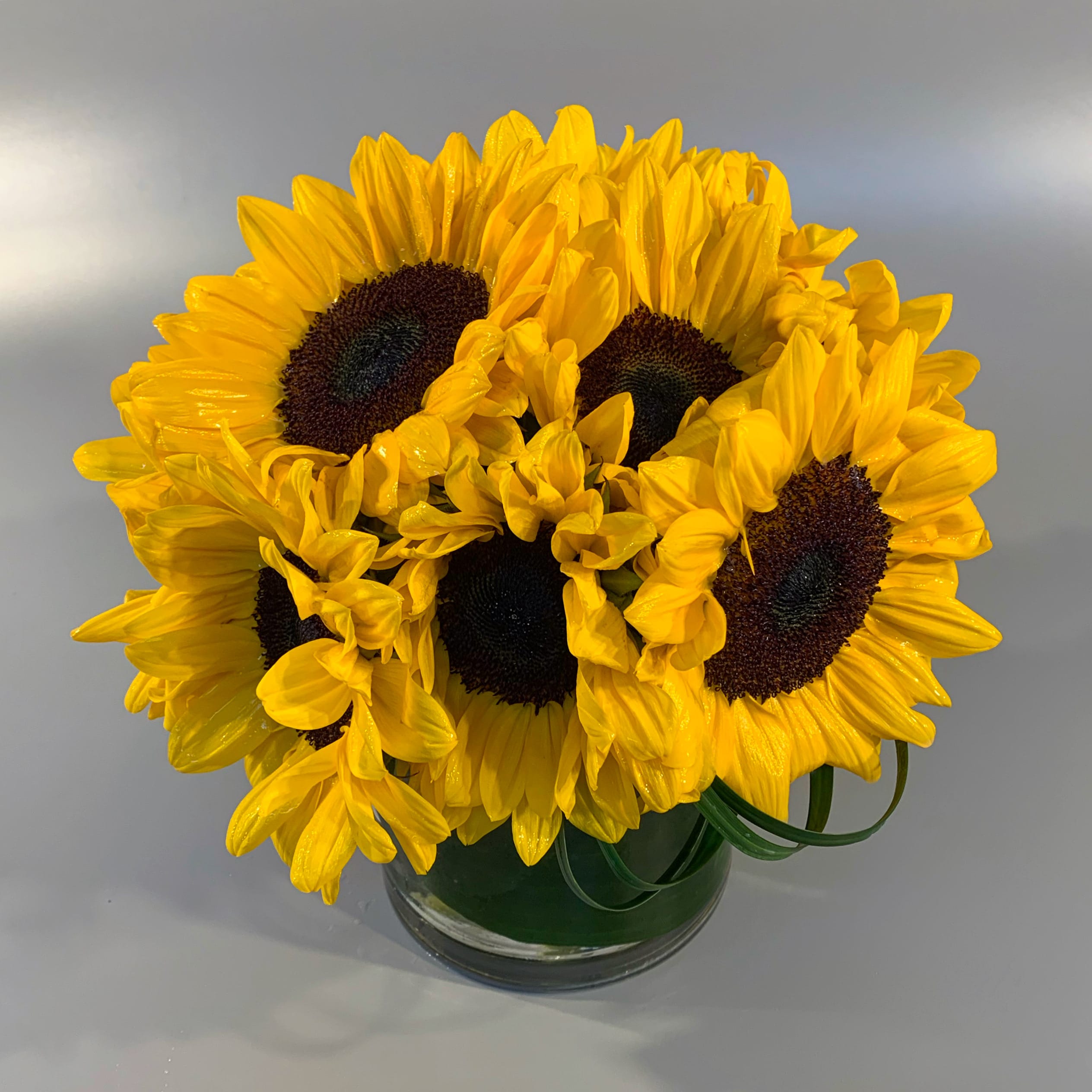 SUN - A petite lush gathering of fresh sunny sunflowers*, hand-tied and accented with folded foliage and placed in a leaf lined glass vessel. *Sunflower sizes and colors may vary daily