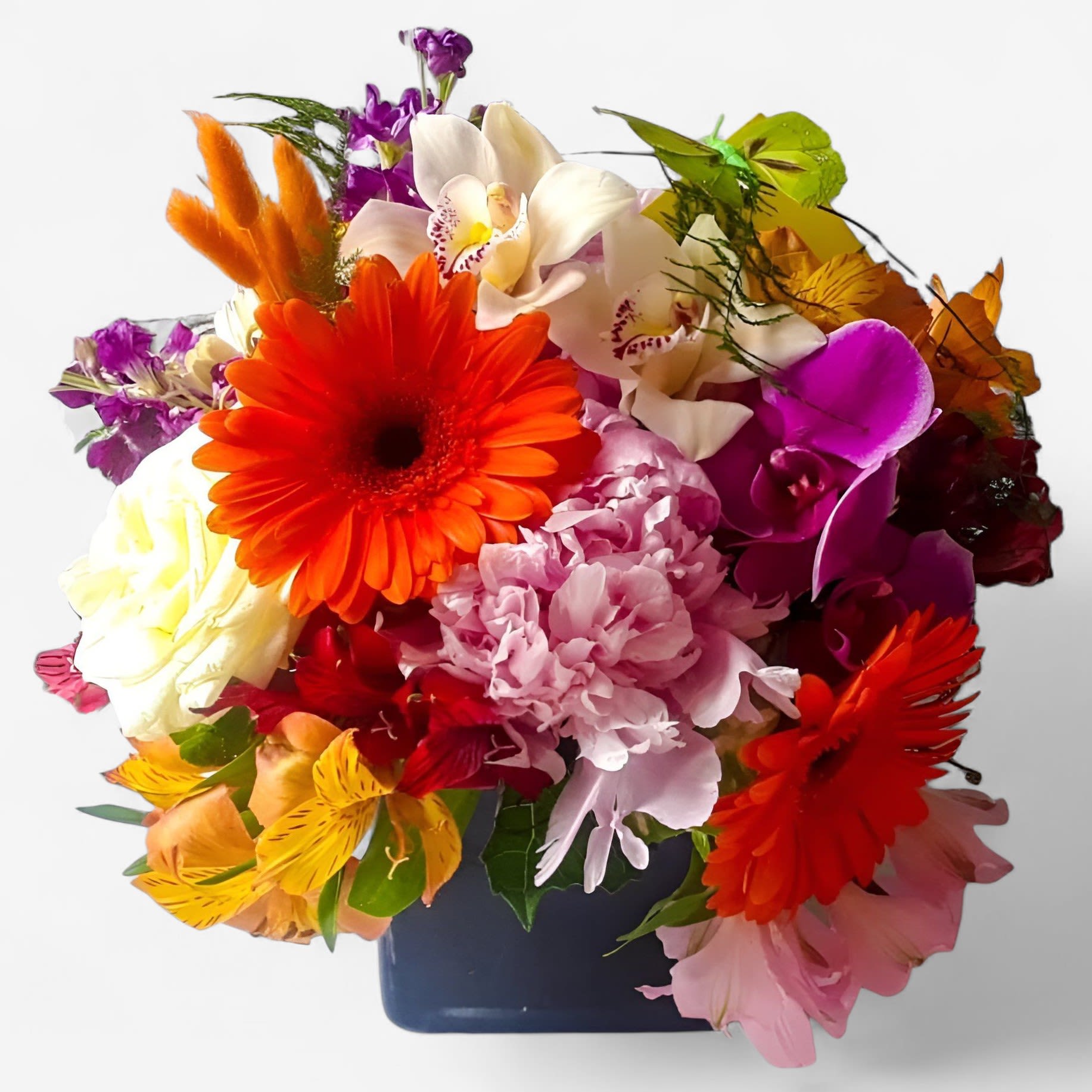 Vibrant Blossom Beauty Designer's Choice - Vibrant blossoms of that day roses orchids and more arranged in a black modern glass vase. Beautiful and perfect to send for every occasion to show them how much you care. All bouquets are always made extra special and unique each and every time. Send happiness.